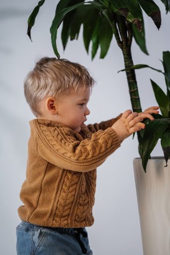 fotografie v ateli&eacute;ru